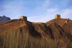 充実している小豆島フェリーの施設