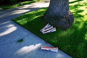 九州の釣り堀完全ガイド｜初心者から家族連れまで楽しめる人気スポットと釣り体験の魅力