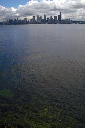 静岡市中心に位置する快適なビジネスホテル|ガーデンホテル静岡の魅力と詳細情報