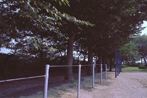 京都二条城近くの快適なビジネスホテル｜東横INN京都二条城南の魅力と詳細情報