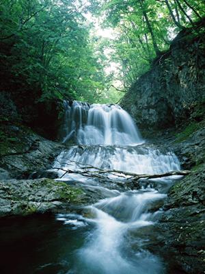 熊本市のビジネスホテルなら東横イン熊本桜町バスターミナル前：快適な滞在と便利なアクセスを実現