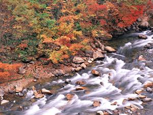 川崎駅から徒歩4分！快適で便利なビジネスホテル｜東横INN川崎駅前砂子の魅力と詳細情報