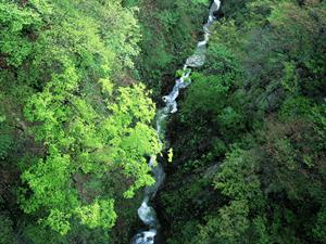 福山駅前にあるビジネスホテル「東横INN福山駅新幹線南口」の魅力と特徴