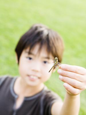 米原駅すぐのビジネスホテル｜東横INN米原駅新幹線西口の特徴と魅力