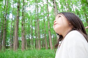 大阪市のビジネスホテル｜東横INN大阪JR野田駅前の魅力と宿泊情報