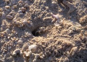 横浜鶴見駅近くのビジネスホテル【東横INN横浜鶴見駅東口】の魅力と詳細情報