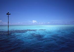 広島駅から徒歩9分の快適ステイ！東横INN広島駅スタジアム前の魅力と詳細情報