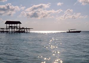 東横INN神戸湊川公園｜便利な立地と快適なビジネスホテルで神戸旅行を満喫
