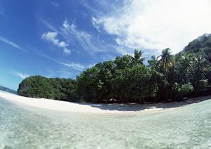 金沢で皿に金箔を貼る体験ができる