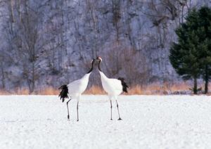 千葉みなと駅徒歩1分のビジネスホテル｜東横INN千葉みなと駅前の魅力と詳細情報