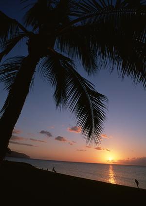 東京都台東区にある快適なビジネスホテル：東横INN浅草蔵前1の魅力と詳細情報