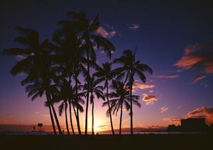 格安価格で宿泊予約！賢い旅行をしよう