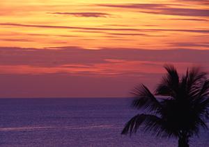 香川県丸亀駅近くのビジネスホテル【東横INN丸亀駅前】の魅力と詳細情報