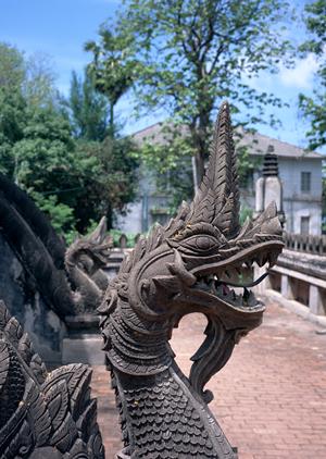 マージャンを松本市で楽しみたい方へ