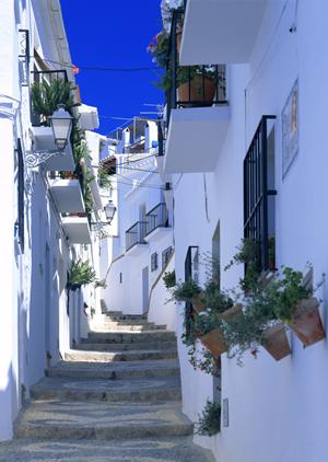 カワウソカフェで癒しのひと時を