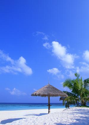 鳥取駅南口から徒歩2分の快適ステイ｜東横INN鳥取駅南口の魅力と詳細情報