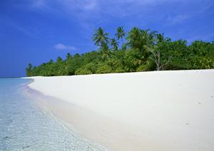 東横INN京王線東府中駅北口｜東京都府中市の快適ビジネスホテル予約サイト