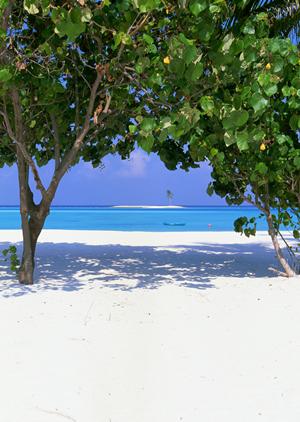 福岡・北九州のビジネスホテルをお得に予約！東横INN小倉駅南口の魅力と詳細情報