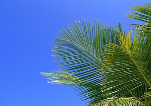 広島市中心部の快適なビジネスホテル｜東横INN広島平和大通の魅力と施設情報