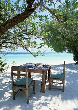 六本木の健全なアミューズメントポーカー！ヒゲゴリラで楽しむ初心者歓迎の夜遊び体験