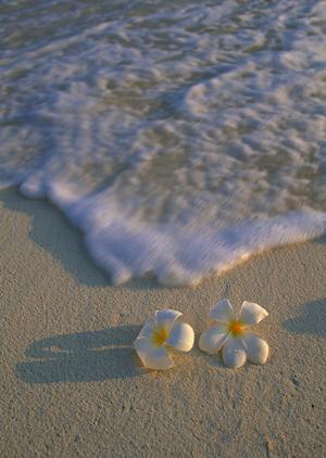 京都で見つける！アニメグッズが充実したおすすめストア完全ガイド