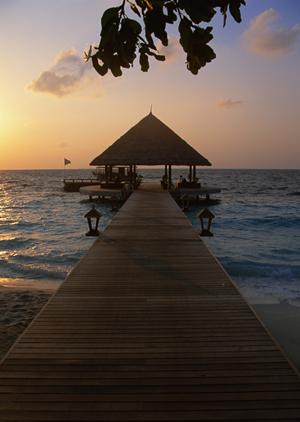 東京大手町に位置する【公式】東横INNホテルの魅力と詳細情報